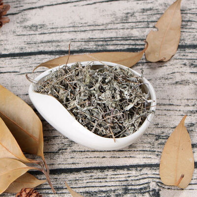 

Hainan Wild Organic Snowy White Spotted Bitter Tea Kuding Cha Herbal Tea