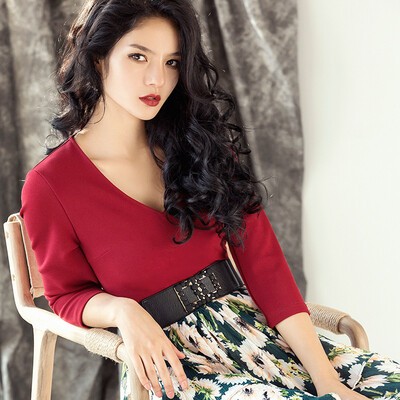 

Wei Ya Ji new chiffon dress 2017 autumn clothes height waist sets V-neck long sleeve A word retro dress female