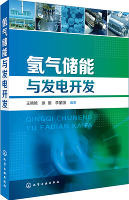 

氢气储能与发电开发