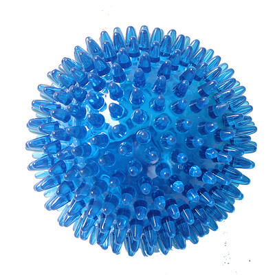 

Yite EETOYS trumpet thorn ball blue sound teeth teeth dog toys