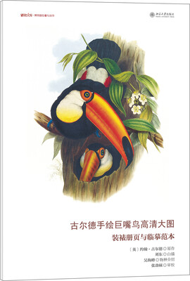 

古尔德手绘巨嘴鸟高清大图 装裱册页与临摹范本