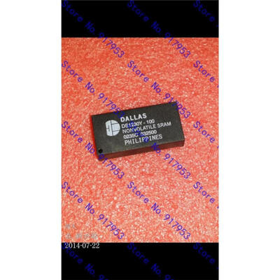 

Free shipping 10PCS DS1230Y-100