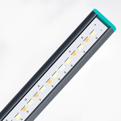 

Ji печать свет дайвинг аквариума аквариума освещение водонепроницаемый свет воды освещение аквариума лампы пузырь длинный срок службы лампы светодиодный светильник высокого аквариума освещения применимой 17-26cm цилиндра Д16