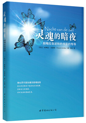 

灵魂的暗夜：帕梅拉自述和约书亚的传导