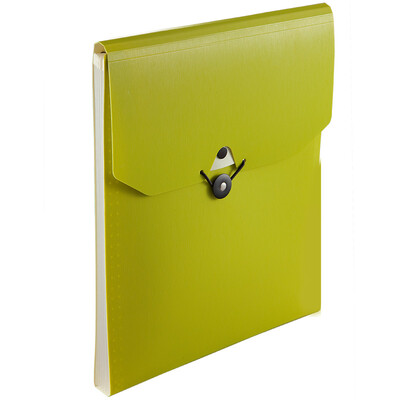 

Coix A4 vertical 5 bag ARMOR loose-leaf organ bag information package file package A3105 green