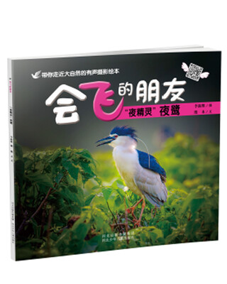 

夜精灵夜鹭-会飞的朋友