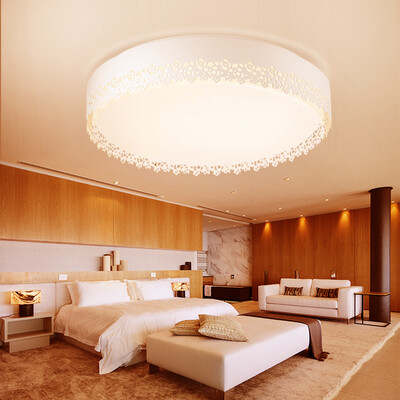 

NVC personalized art warm romantic round ceiling lamp modern simple LED creative room bedroom study lighting 14W remote control dimming (with remote control)
