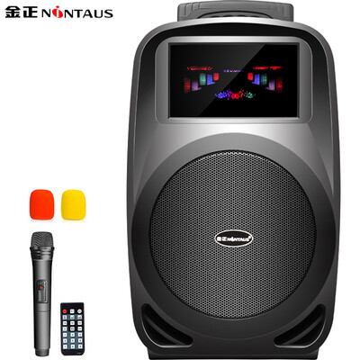 

Kim Jung (NINTAUS) K6-8 8 inch square dance sound Bluetooth outdoor rod speaker with wireless microphone loudspeaker