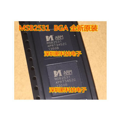 

MSB2531