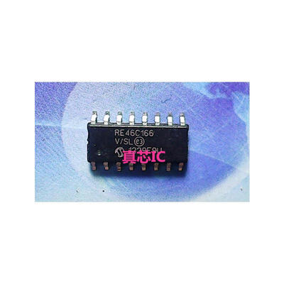 

RE46C166V/SL