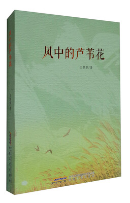 

风中的芦苇花