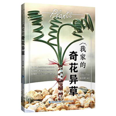 

我家的奇花异草