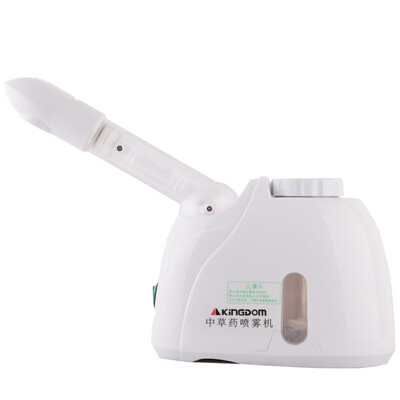 

Gold rice KINGDOM K-33S whitening steamer