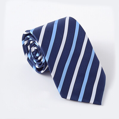 

DUSENNA men&39s dress business wedding groom gift box classic tie stripes blue&white thick stripes