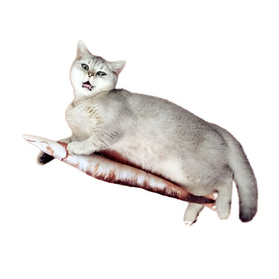 

Simulation Fish Toy Cat Chew Toys Cat Teaser Fish Cushions Catnip Cat Supplies