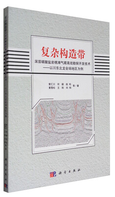 

复杂构造带深层碳酸盐岩礁滩气藏高效勘探开发技术：以川东北龙会场地区为例