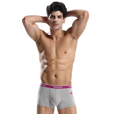 

Fitness mens underwear 2 Modal fiber quality soft mens boxer briefs mixed color 77282L