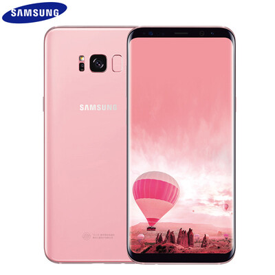 

Samsung Galaxy S8 (G9500)