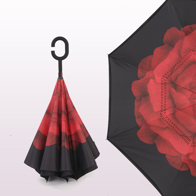 

в противоположном направлении зонтик двухэтажных давно зонтик мужчин и женщин солнца зонтик оригинальность лесополоса автомобиль с