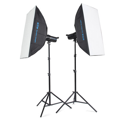 

Lecking Golden Eagle L-4 400W Studio Light Flashlight Photo Studio Set Soft Case Garment Portrait Still Life Products Photo studio Light