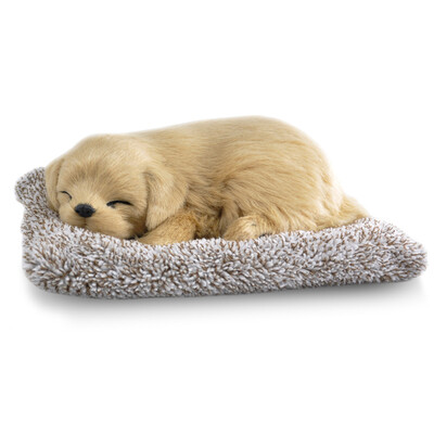 

Plush toys simulation dog & cat Vehicle Decoration Baby Sleeping Appease Doll Kids Birthday Gifts