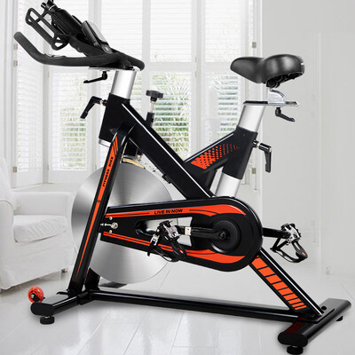 

Blue Fort dynamic cycling silent home indoor exercise car D500