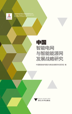 

中国智能电网与智能能源网发展战略研究 中国智能城市建设与推进战略研究