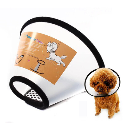 

Foolishness park Elizabeth circle dog dog collar dog headset cat collar pet dog neck sets of cat head sets of anti-biting dog supplies 3 20 pounds the following pets