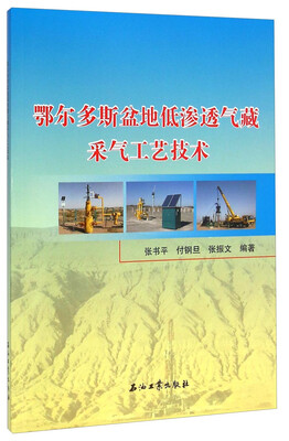 

鄂尔多斯盆地低渗透气藏采气工艺技术