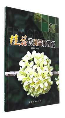 

桂花优良品种图谱