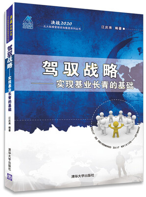 

决战2020·北大纵横管理咨询集团系列丛书·驾驭战略：实现基业长青的基础
