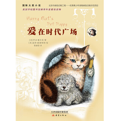 

国际大奖小说--爱在时代广场