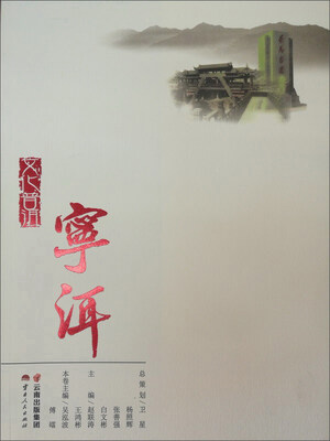 

文化普洱：宁洱
