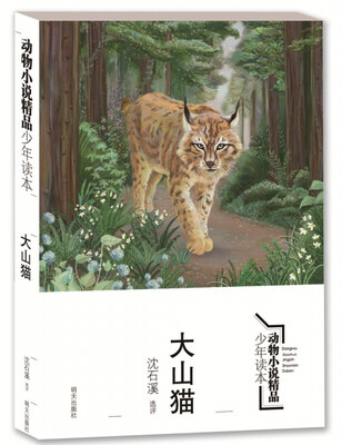 

动物小说精品少年读本 大山猫