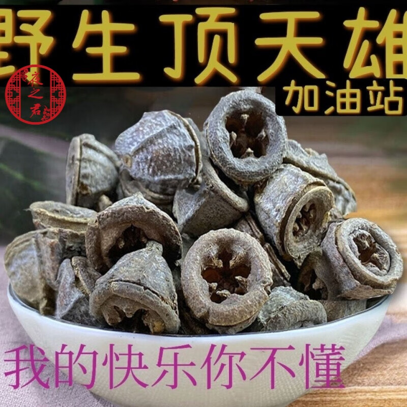 云南顶天雄苗药可搭配顶天柱 顶天雄500克