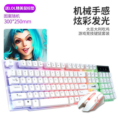 雷迪凯（LDK.al）有线USB键盘鼠标套装 七彩背光机械手感悬浮键帽游戏l办公键盘 白色键鼠套装