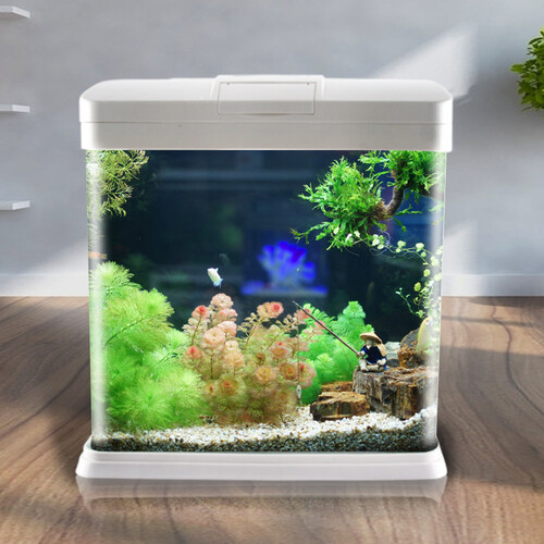 SEA STAR 海星生态小鱼缸客厅小型 鱼缸水族箱创意鱼缸迷你玻璃桌面家用金鱼缸懒人造景LED灯 240ZF标配