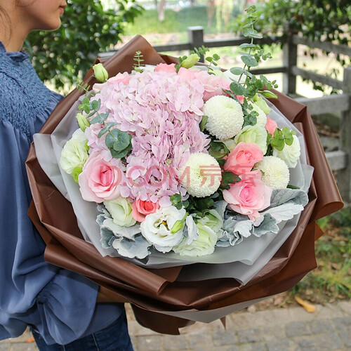 馨仪鲜花速递 玫瑰花绣球韩式混搭花束生日礼物全国同城花店送花上门 19朵粉玫瑰绣球混搭花束