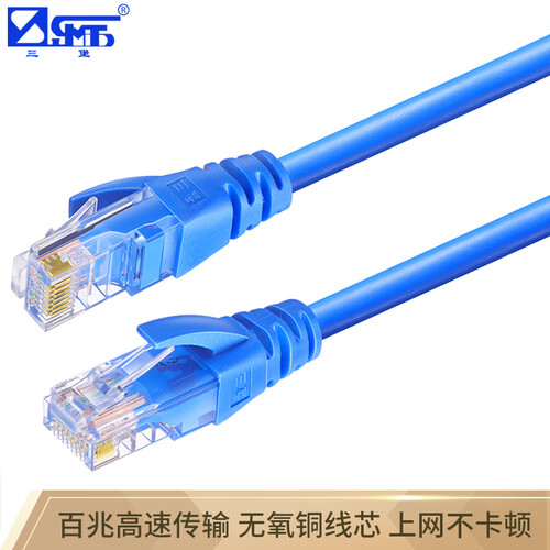 三堡超五类标准联网线 3米