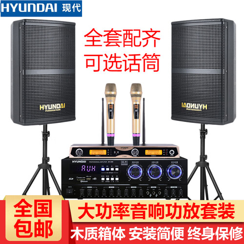 现代（HYUNDAI）专业会议室音响设备套装 舞蹈室音箱 吊顶壁挂落地式组合背景音乐教学培训系统设备 10英寸音响套装+U段无线一拖二麦克风