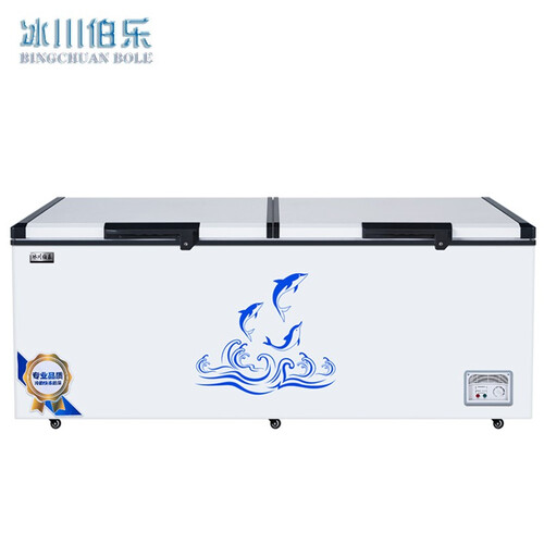 冰川伯乐大容量冰柜家用冰柜商用大冷柜大型冰柜冷藏冷冻节能卧式单温双温冷柜多种尺寸可选 1028L单温2200*830*855