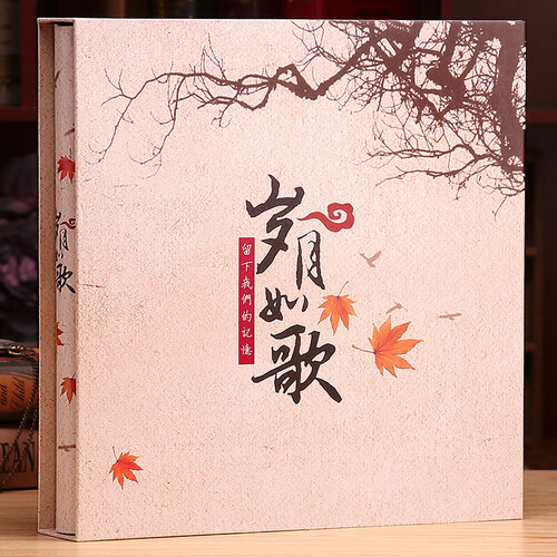 相册影集 5.6.7.8寸插页式教师节礼物女老师相册薄大容量家庭宝宝情侣浪漫纪念册送男女生日礼物 5-6-7-8-10寸混合装-岁月如歌 相册