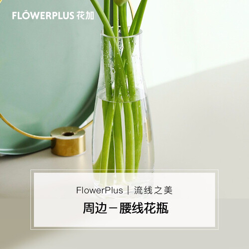 FlowerPlus花加 腰线花瓶 花瓶摆件客厅摆设简约玻璃透明花瓶插花 鲜花全国包邮 腰线花瓶