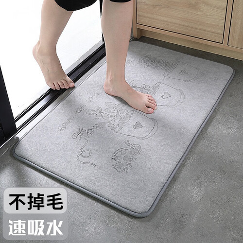 斯美儿 ins浴室卫生间防滑垫门垫进门脚垫家用吸水垫洗手间防滑垫子厕所门口地垫卫浴 盆栽鞋灰色 40x60cm（通用型）