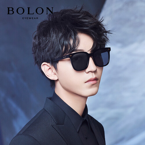 暴龙 BOLON眼镜男款新款板材太阳镜时尚D形框偏光墨镜BL3019C10