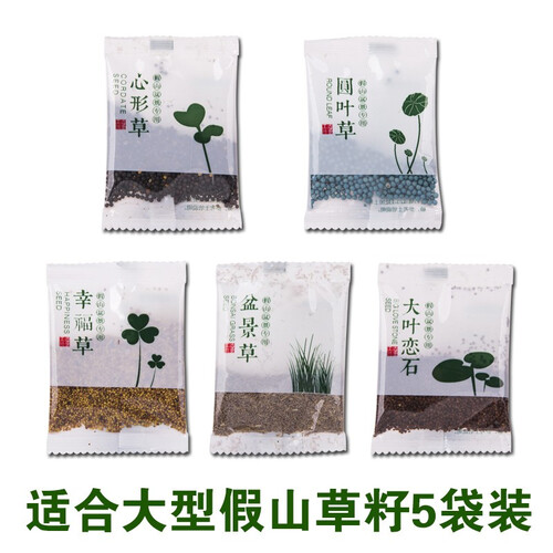 石光小站 假山草籽草种子上水石吸水石奇石盆景植物圆叶草三叶草混装微景观 适合大型假山草籽5袋装