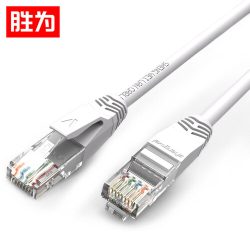 胜为（shengwei）超5类网线 纯铜成品网线 八芯双绞线笔记本网线 彩色RJ45网络跳线 白色0.5米 LC-2005H