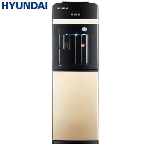 HYUNDAI (现代) 饮水机家用立式冷热双门 BL-LBS5