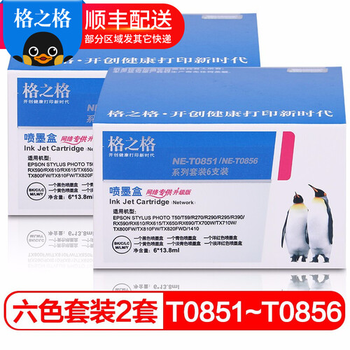 格之格T0851墨盒适用EPSON爱普生1390打印机R330墨盒T60墨盒85N墨盒打印机墨盒 T0851~T0856六色墨盒2套