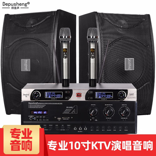 得普声专 D100专业10寸家庭KTV音响套装卡拉OK会议室音箱功放酒店婚庆酒吧K歌 D100家庭KTV套装